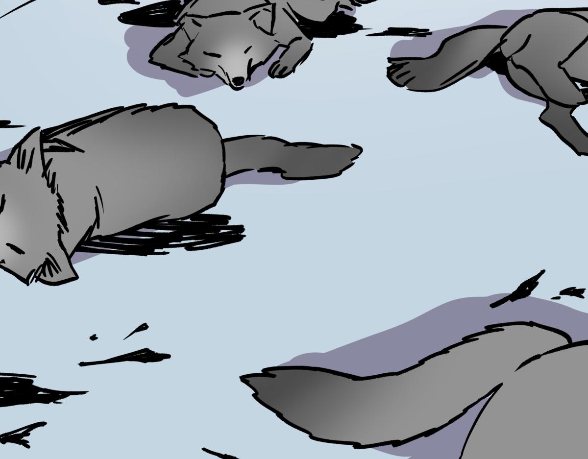 第八话 两面受敌(1/3)-第8话