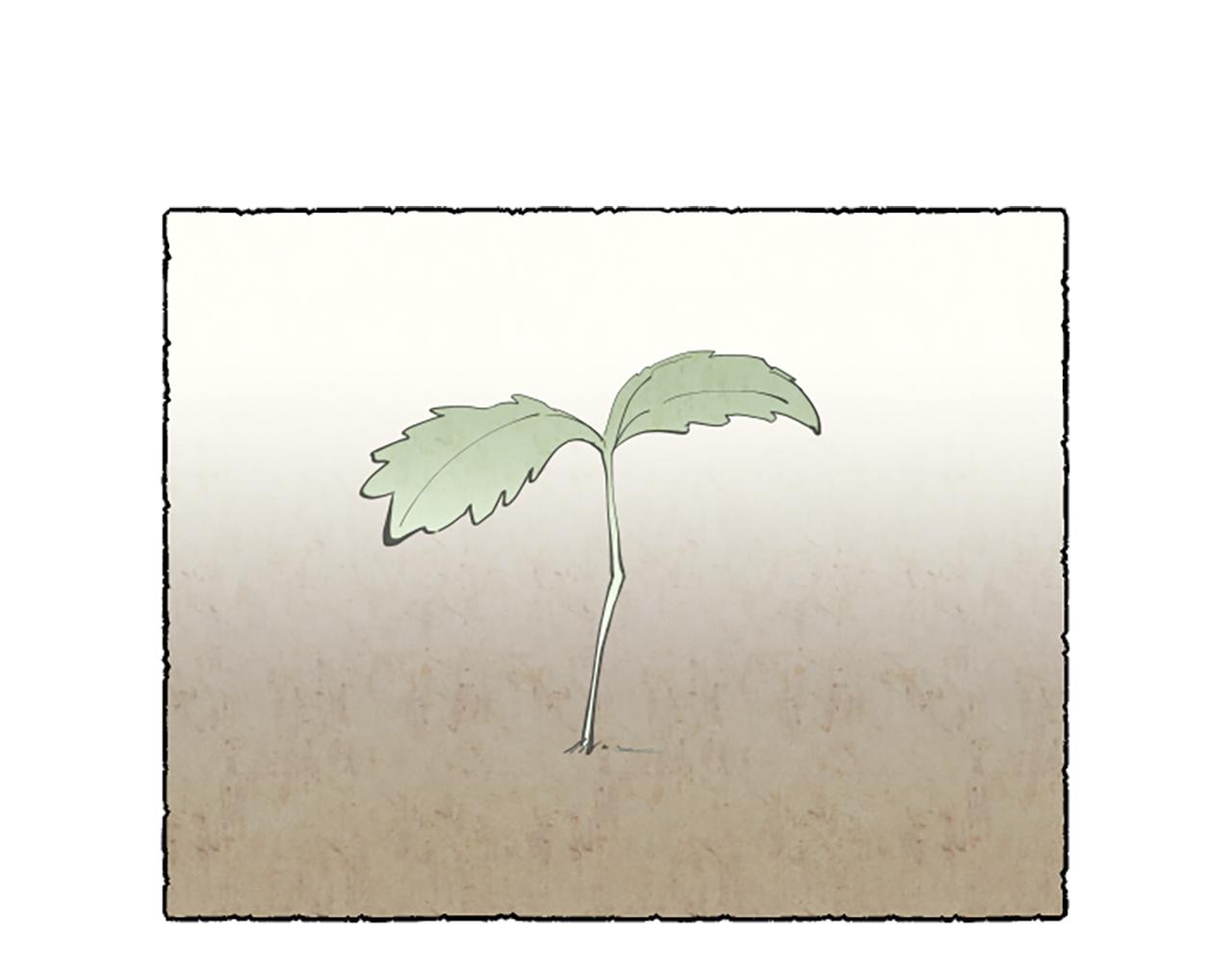 第48话 内心变化(1/4)-第50话