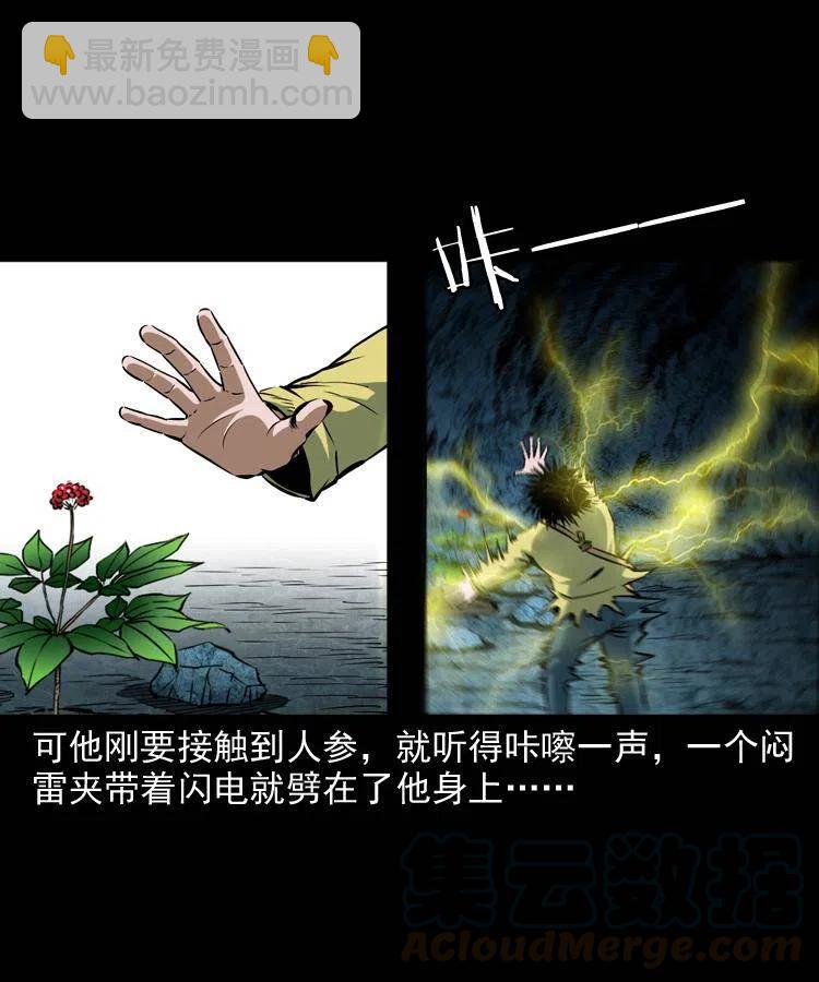 五十二话 人参娃娃(1/2)-第52话