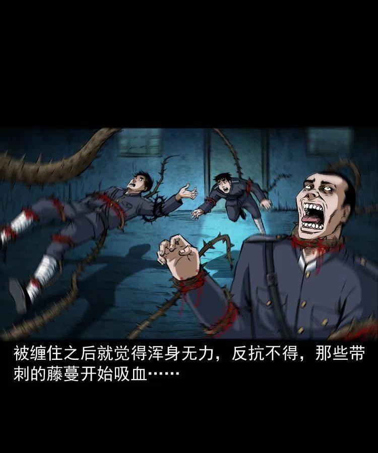 五十六话 马四海捉妖(1/2)-第56话