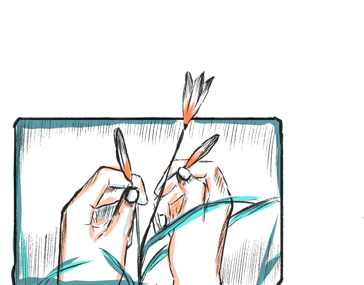 第二话  黄花菜与蘑菇(1/2)-第2话