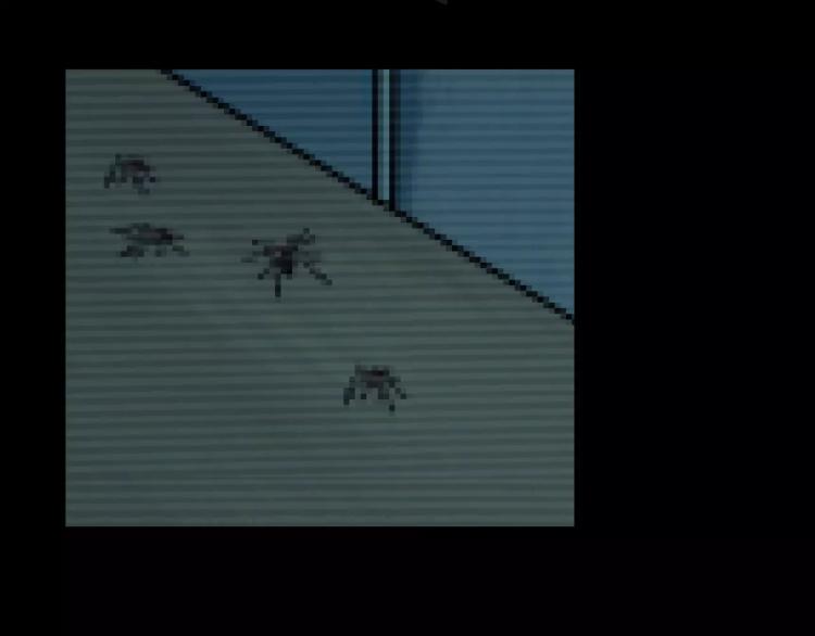 第32话 鬼面蜘的真相(1/4)-第34话