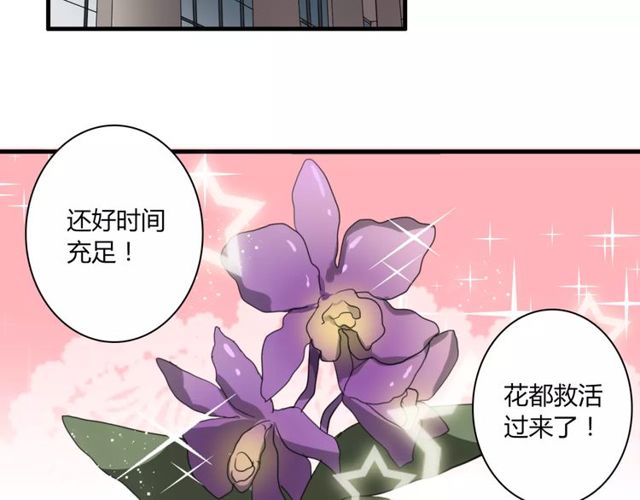 第43话 爱能让人自卑(1/2)-第44话