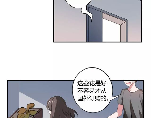 第43话 爱能让人自卑(1/2)-第44话