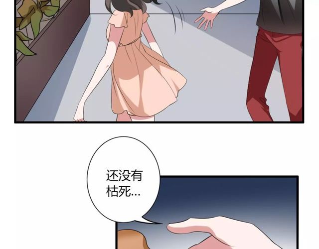 第43话 爱能让人自卑(1/2)-第44话