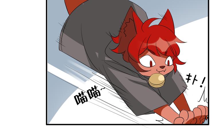 第6话 猫耳娘？(1/2)-第6话