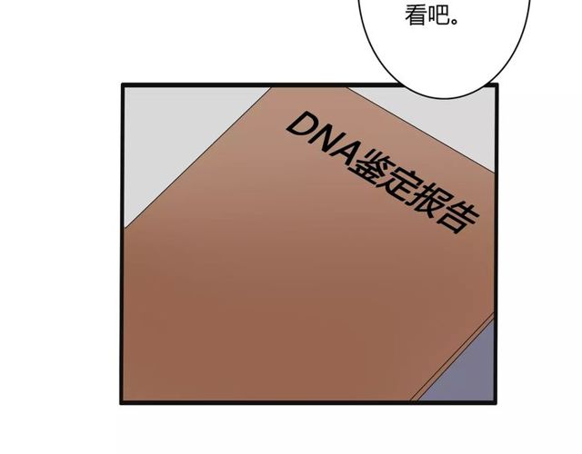 第76话 身世的真相(1/2)-第78话