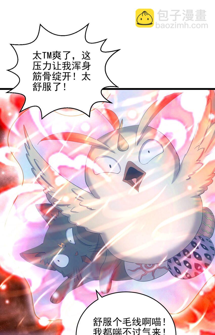 088 猪脸肿不肿？(1/2)-第88话