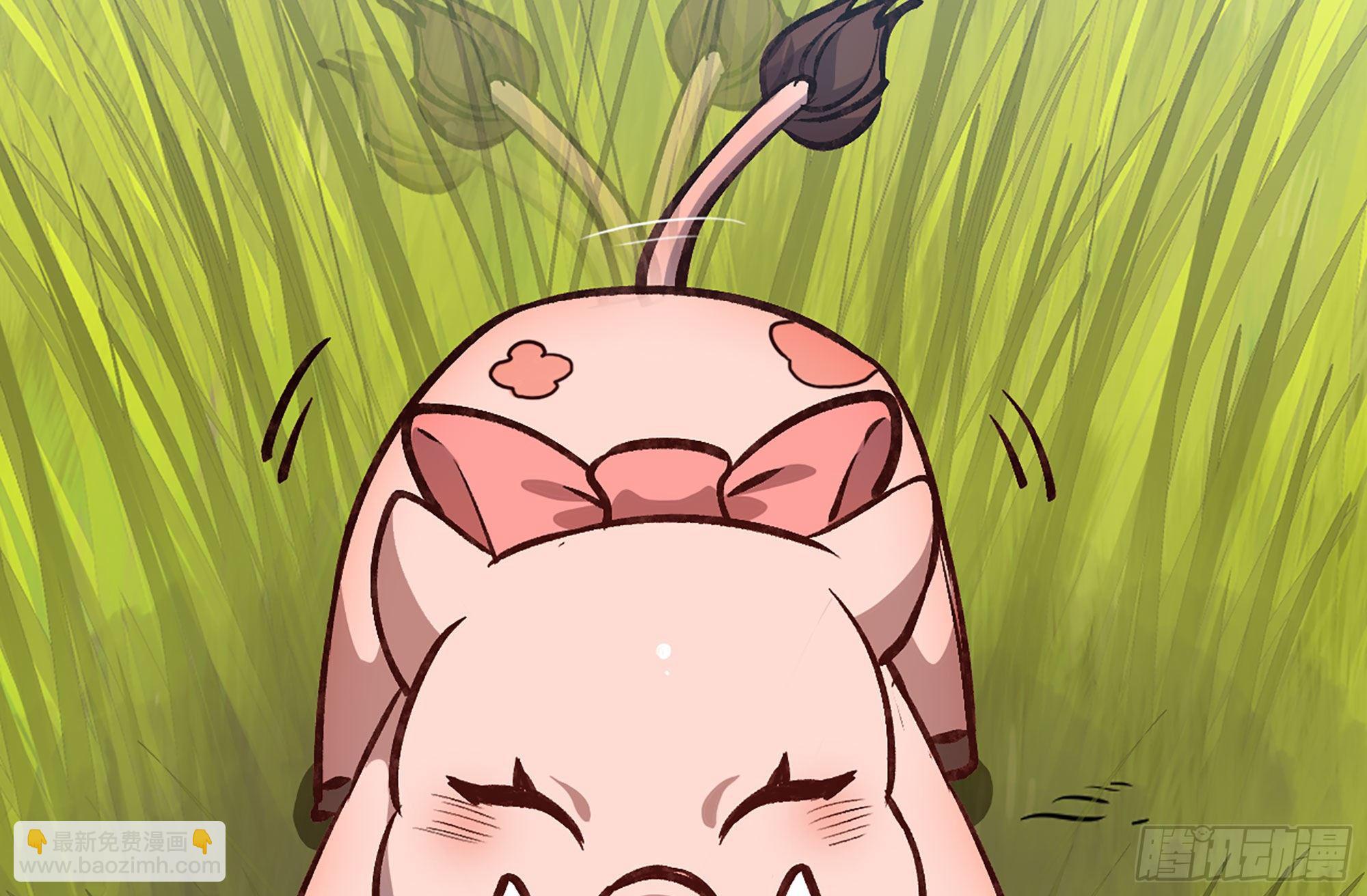 蘑菇勇者 - 13- 任務進行時(2/2) - 3