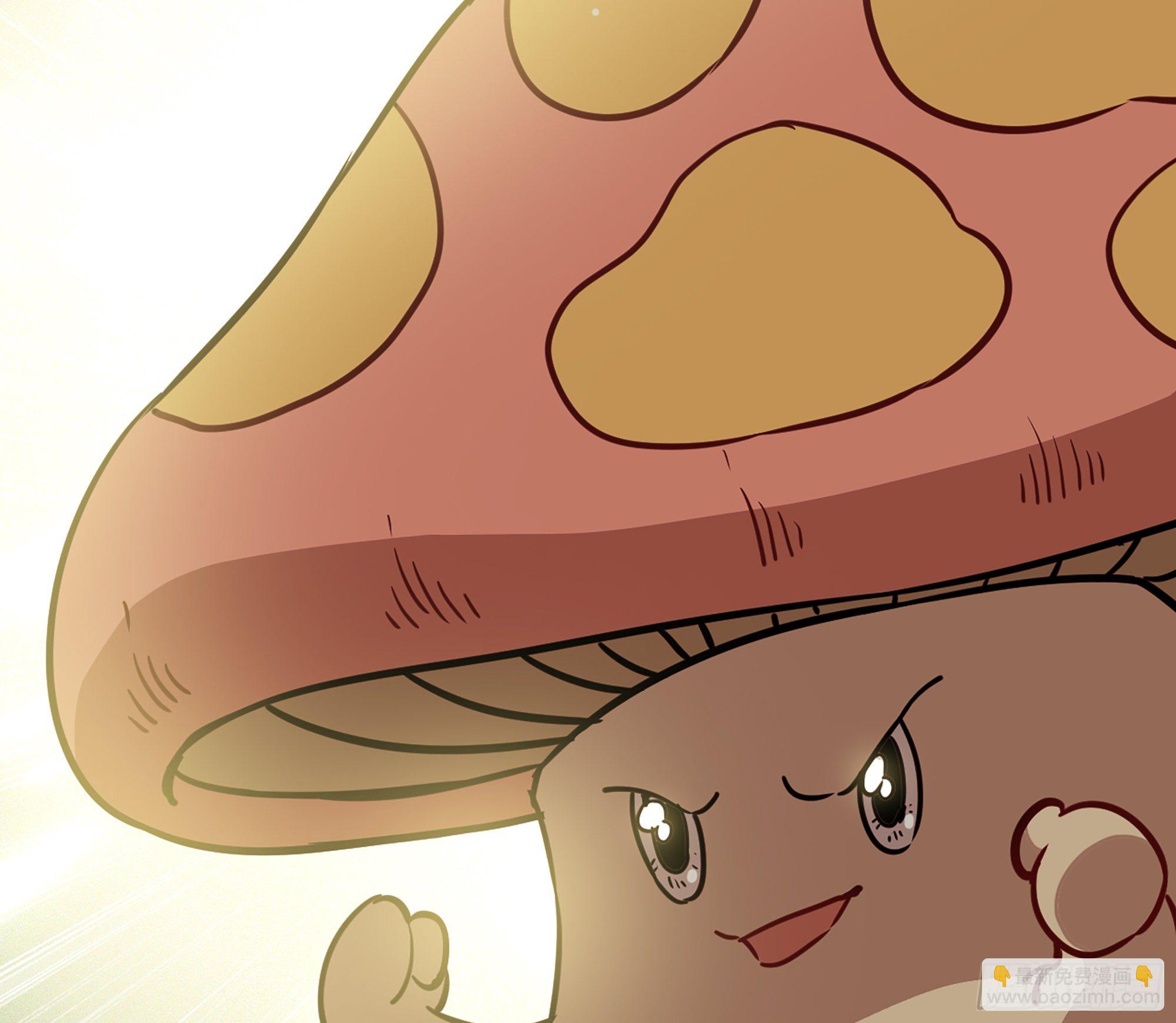 蘑菇勇者 - 17- 進化路線(1/2) - 7