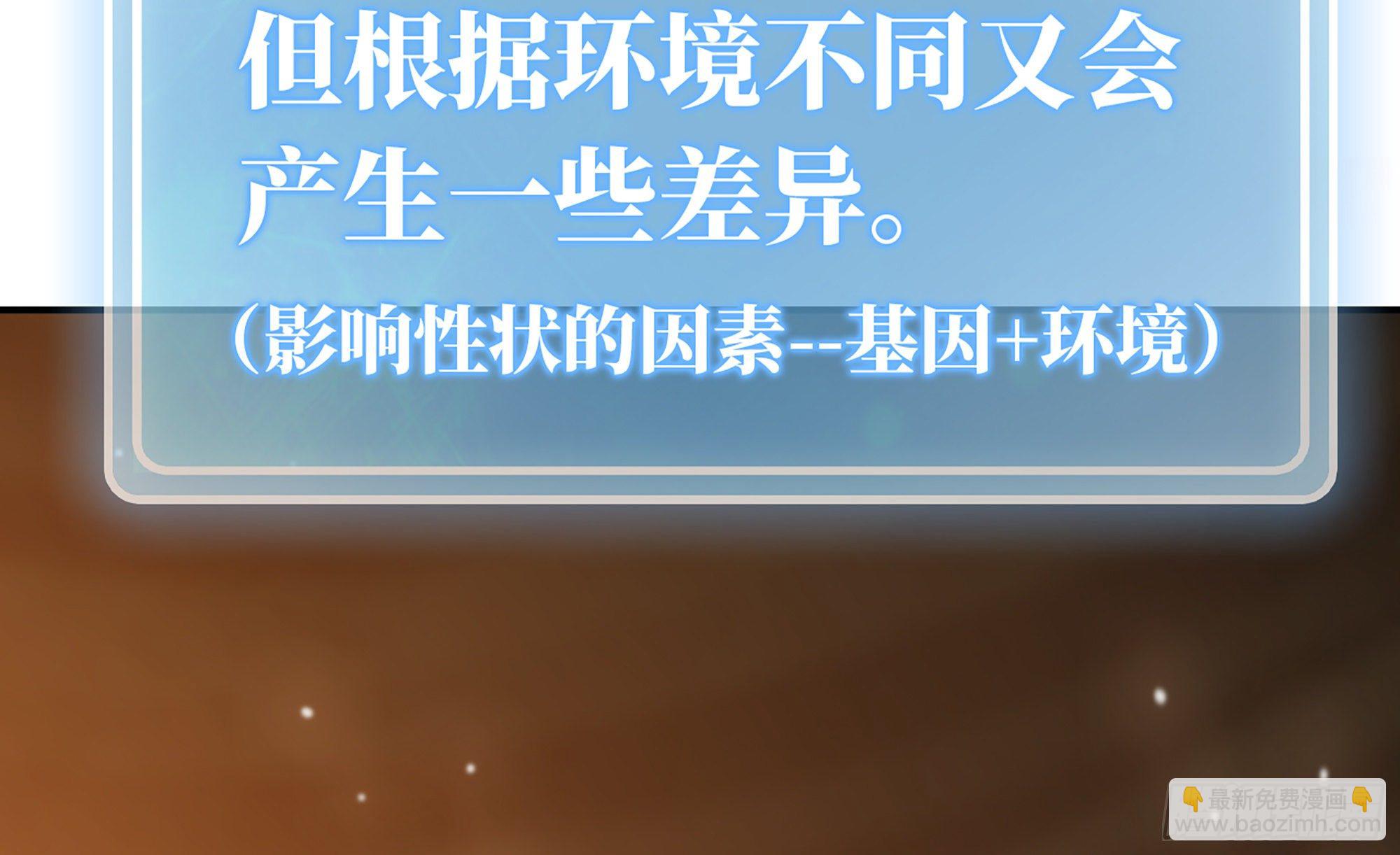 蘑菇勇者 - 17- 進化路線(1/2) - 8