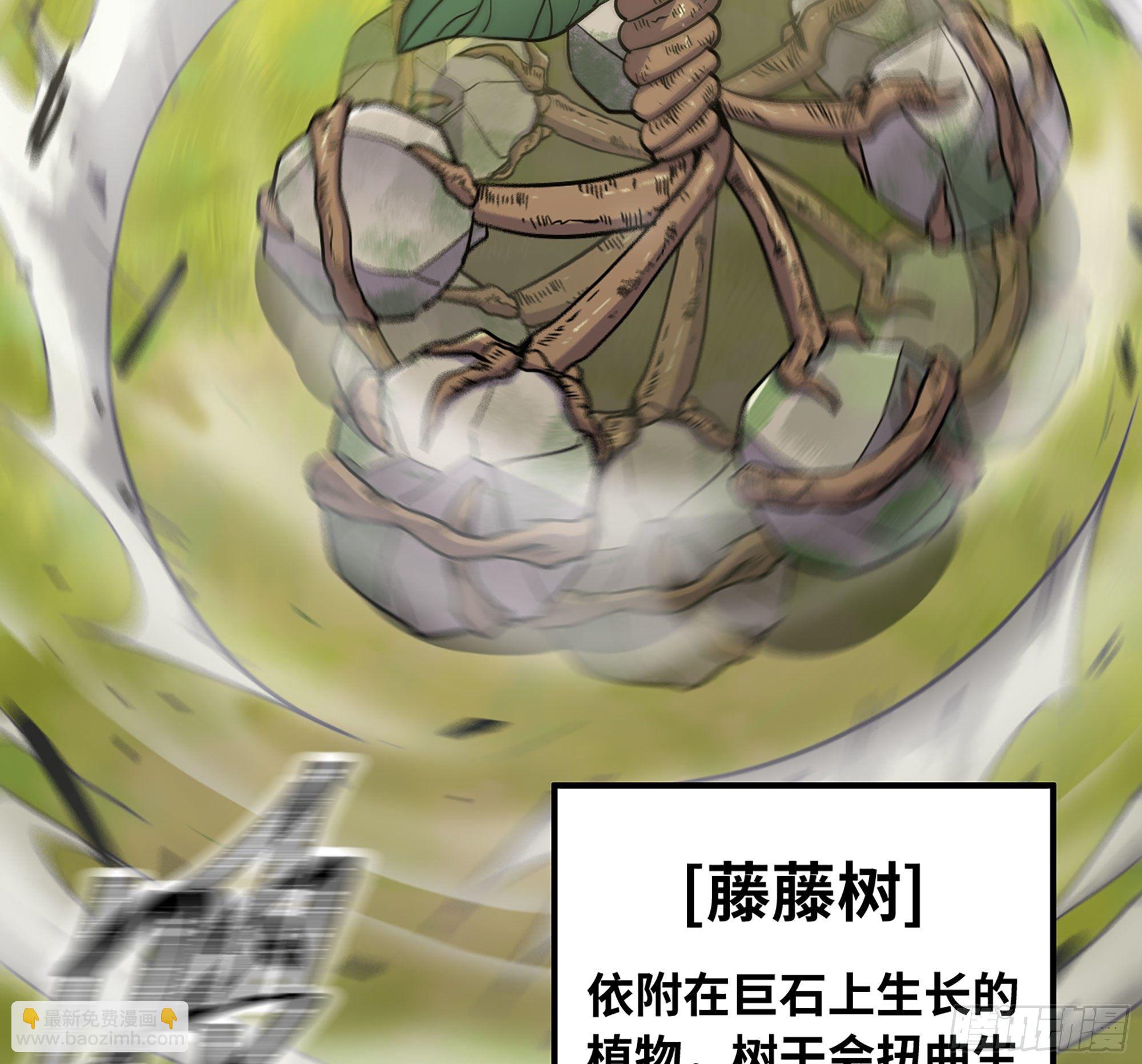 蘑菇勇者 - 19- 再遇人類(3/3) - 5