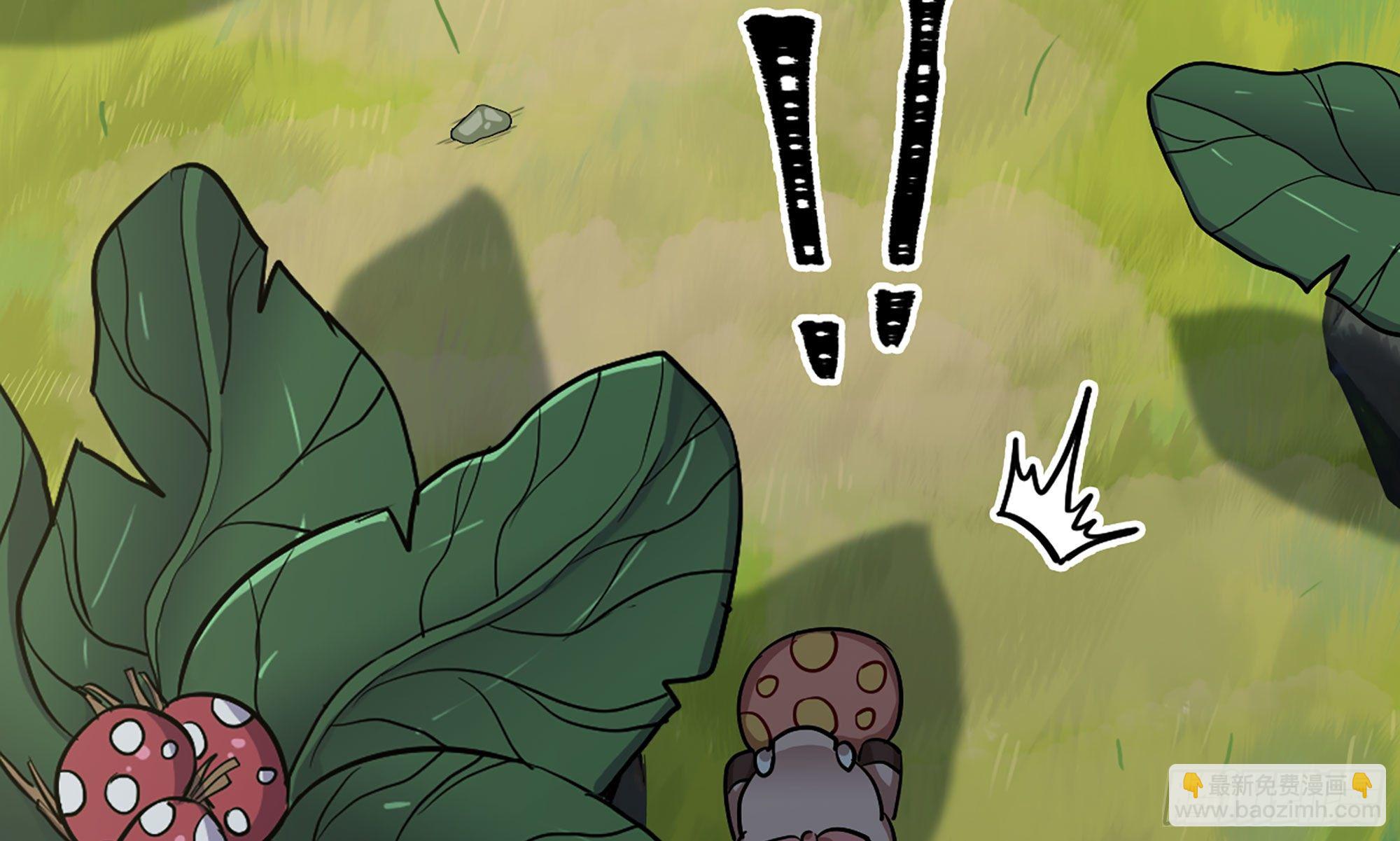 蘑菇勇者 - 19- 再遇人類(2/3) - 1