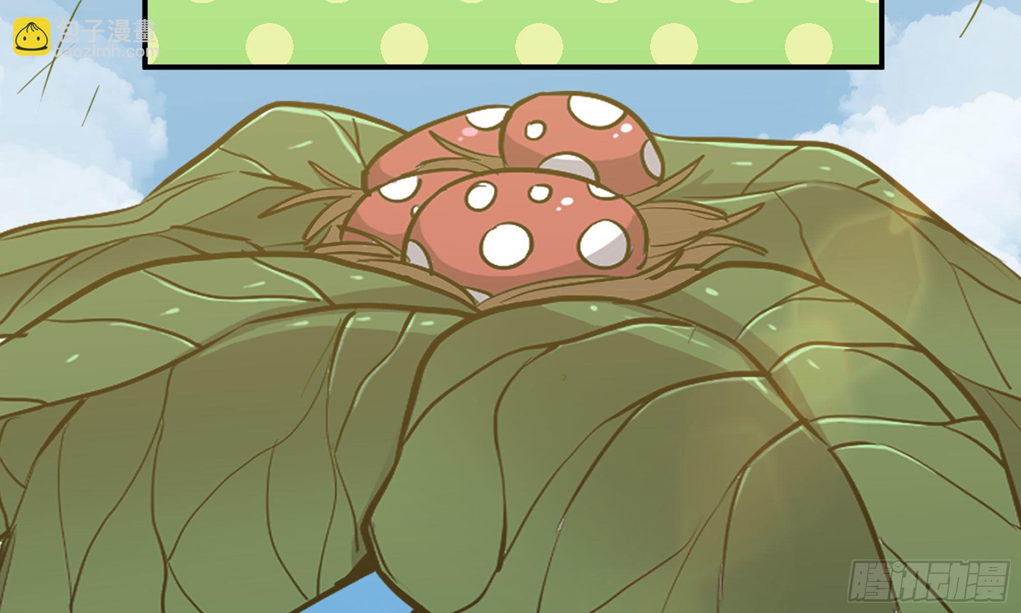 蘑菇勇者 - 19- 再遇人類(1/3) - 6