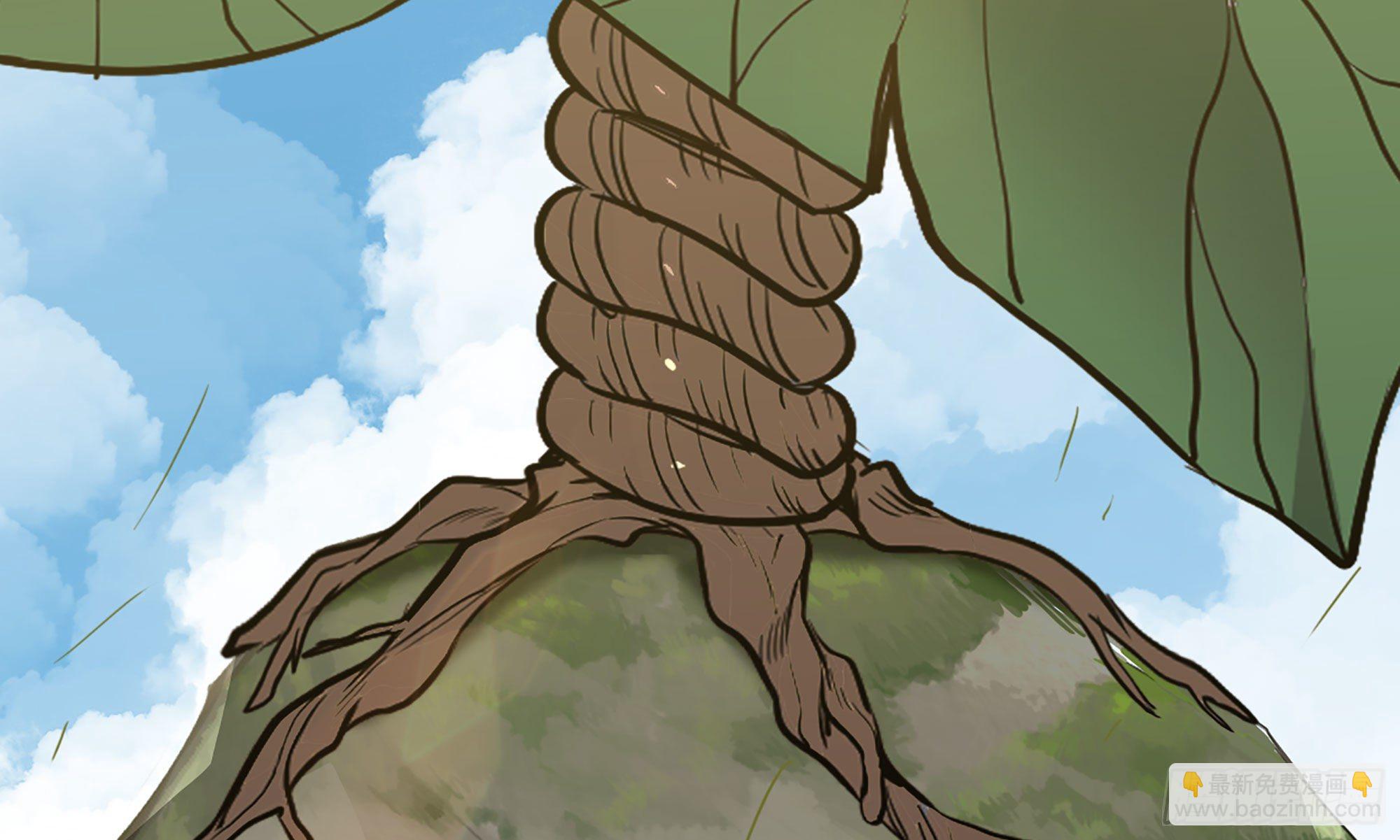 蘑菇勇者 - 19- 再遇人類(1/3) - 7