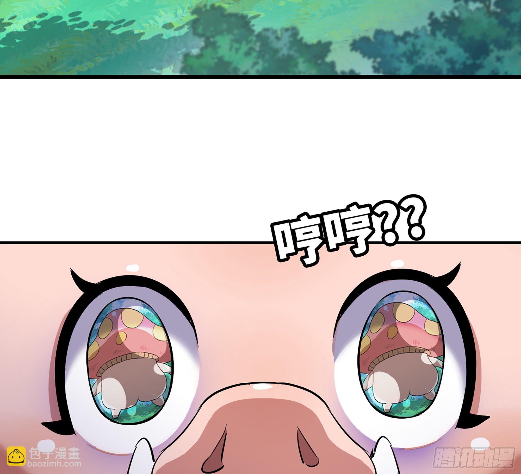 蘑菇勇者 - 45- 練級(5/5) - 2