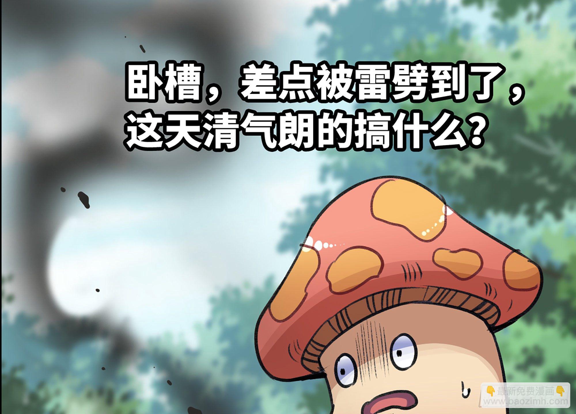 蘑菇勇者 - 5- 升級！(3/3) - 6