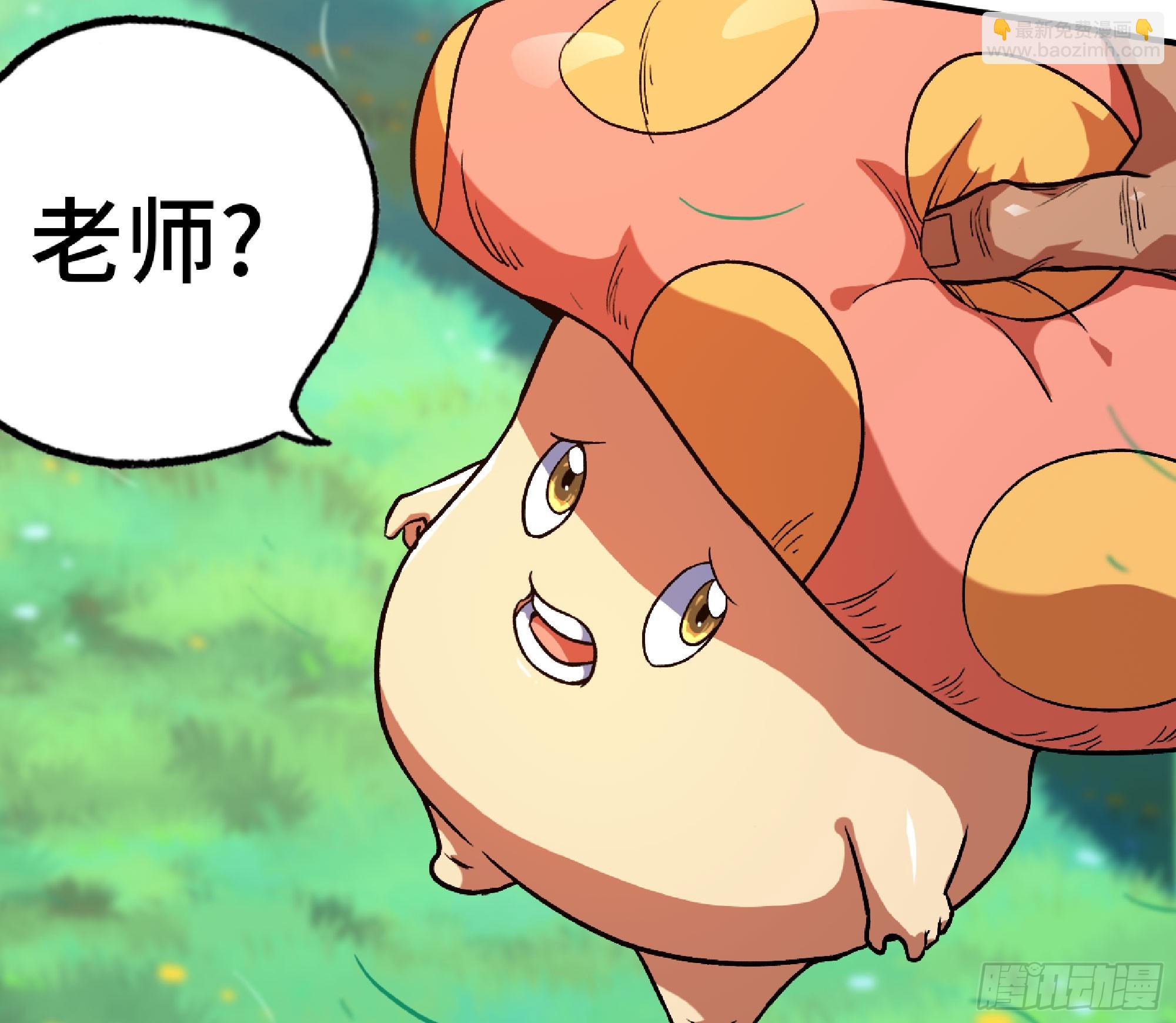 蘑菇勇者 - 78 修行開始(2/2) - 1