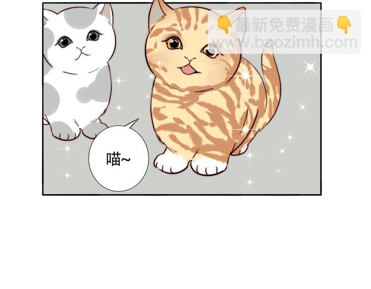 第56话  可爱(1/2)-第58话