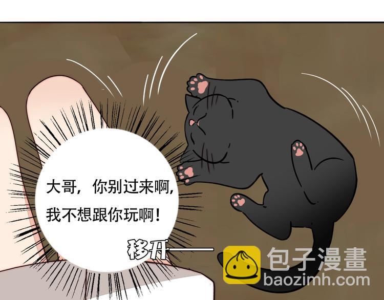 第56话  可爱(1/2)-第58话