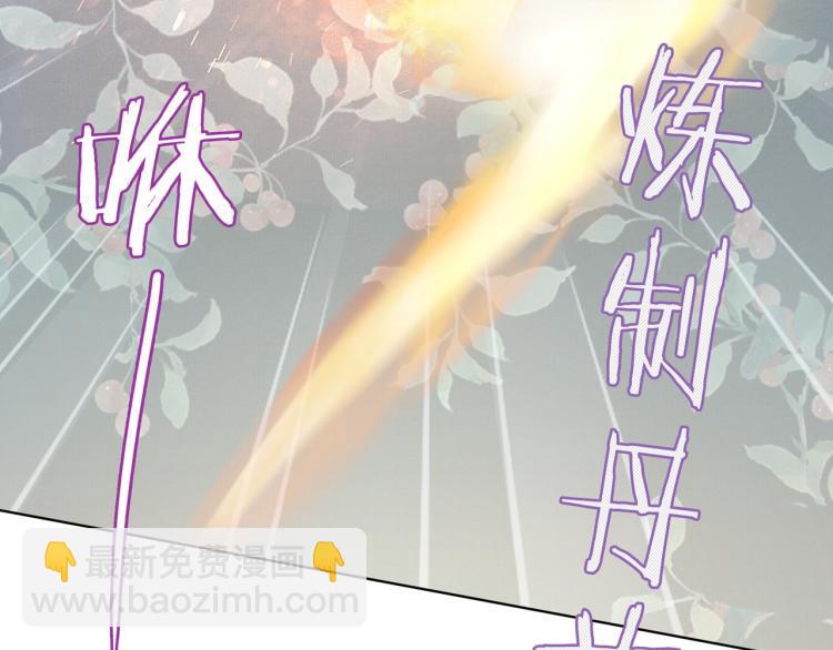 第33话 为你甘当随从(1/2)-第34话