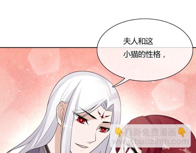 第45话 我的小猫咪(1/2)-第46话