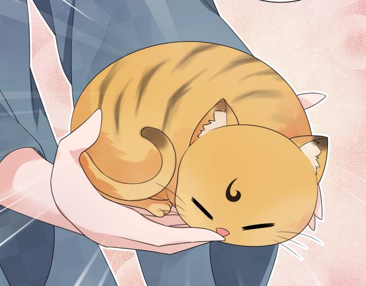 第45话 我的小猫咪(1/2)-第46话