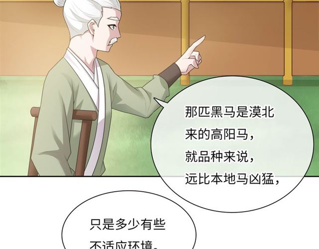 第95话 赛马进行时(1/2)-第96话