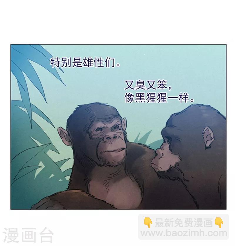 第14话 科迪莉亚(1/2)-第14话