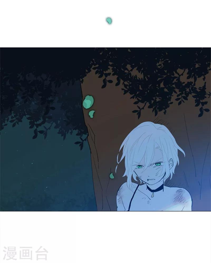 第14话 科迪莉亚(1/2)-第14话