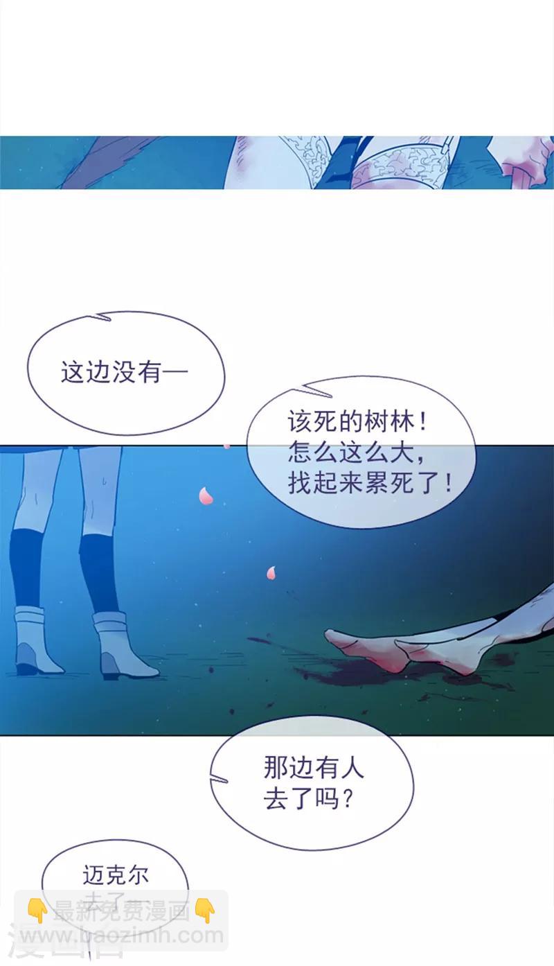 第14话 科迪莉亚(1/2)-第14话