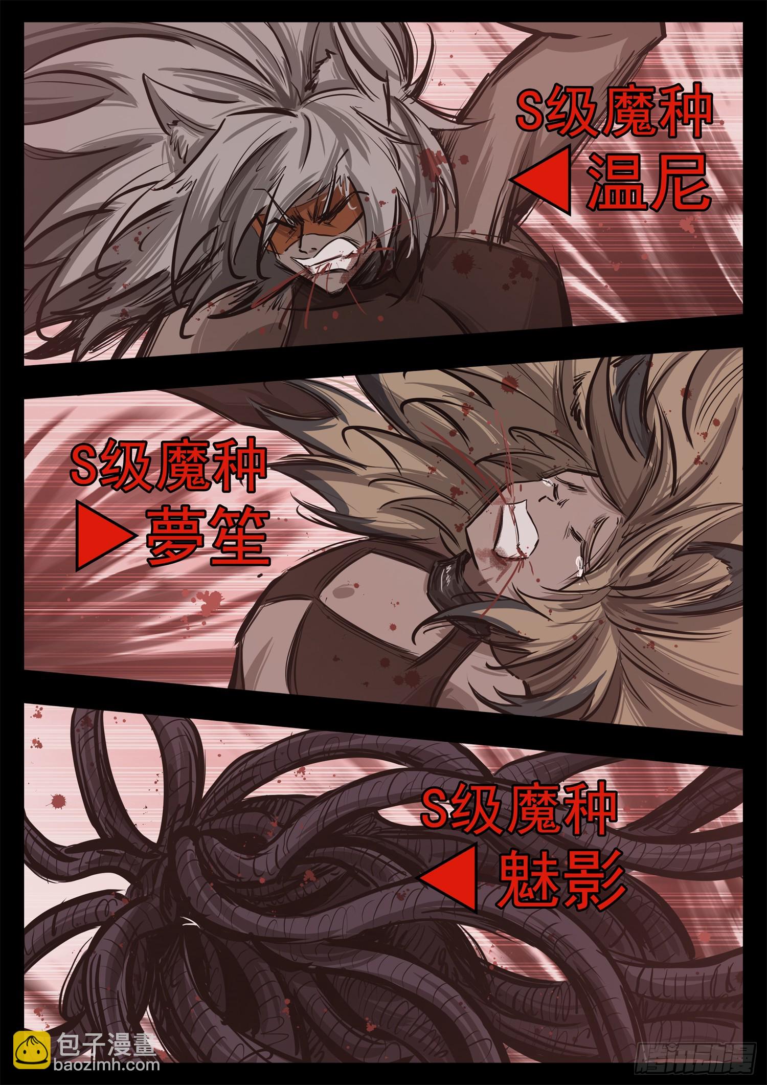 第三百三十九章 魔种不玩了-第340话