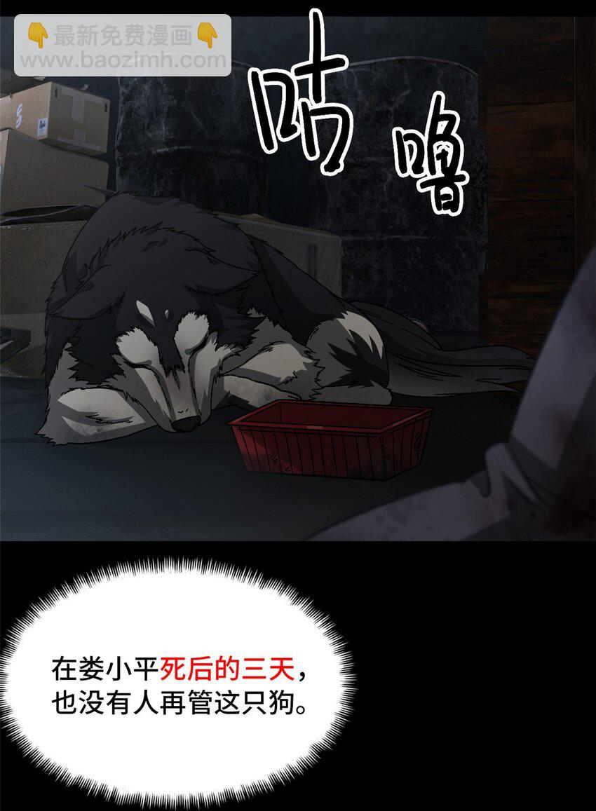 第52片 那人那狗 其二(1/2)-第54话