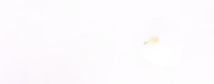 笨蛋！我就在这，别怕~(1/5)-第98话