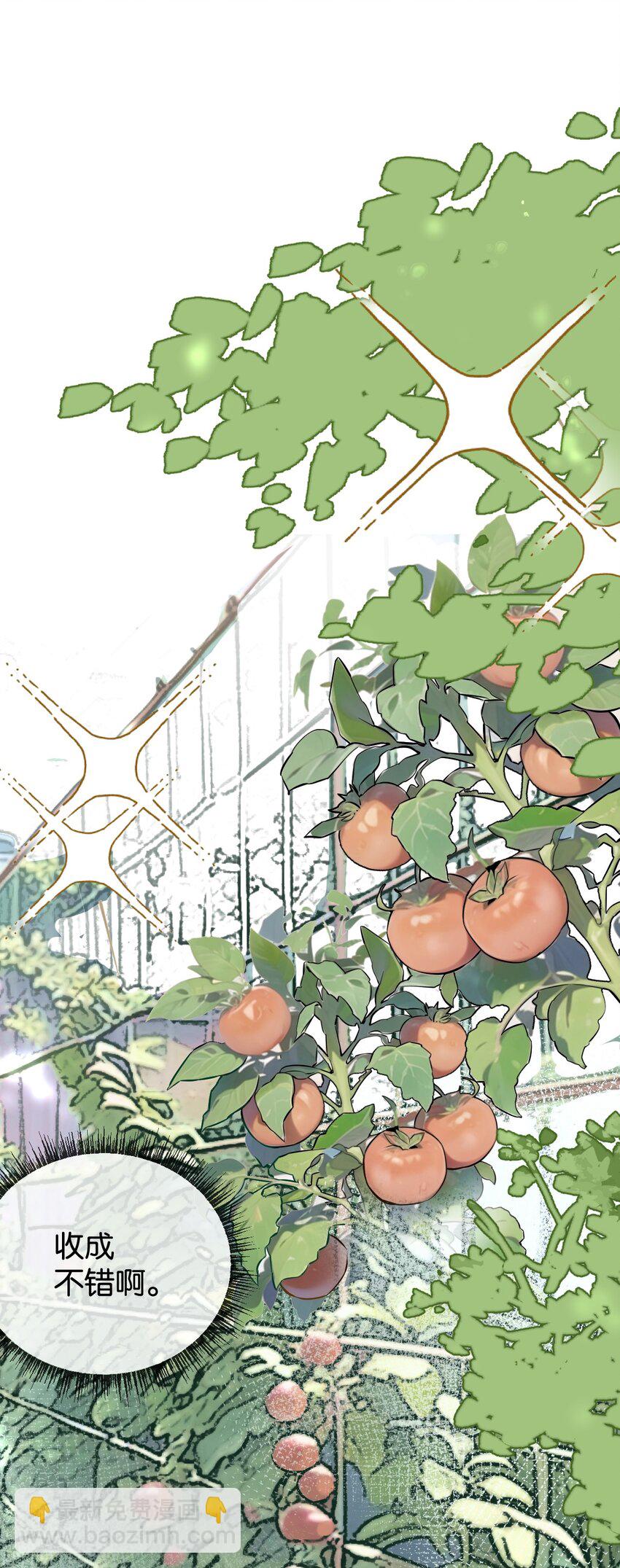 第5话 一顿代表丰收的晚餐(1/2)-第6话