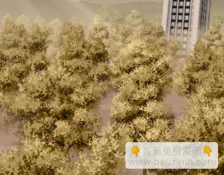 第8话 刺杀！(1/4)-第8话