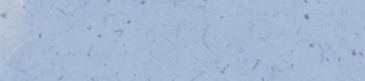 第32话 一波未平(1/3)-第32话