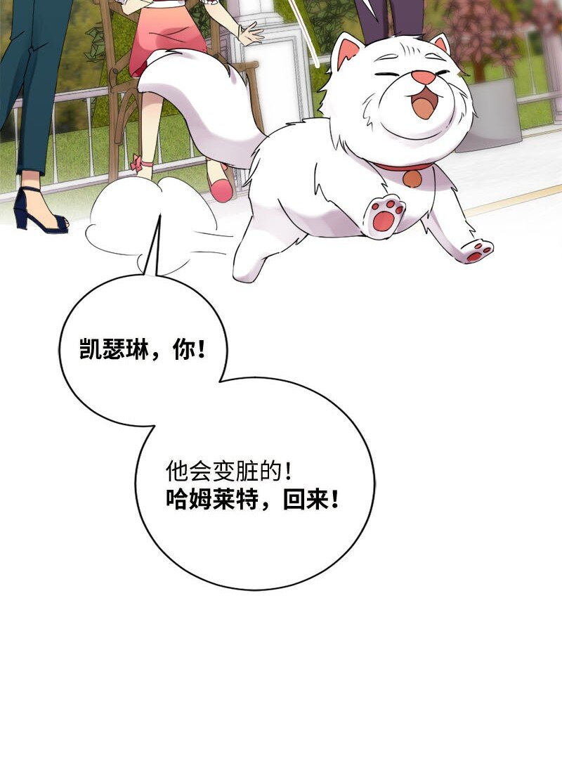 41 分手(1/2)-第42话