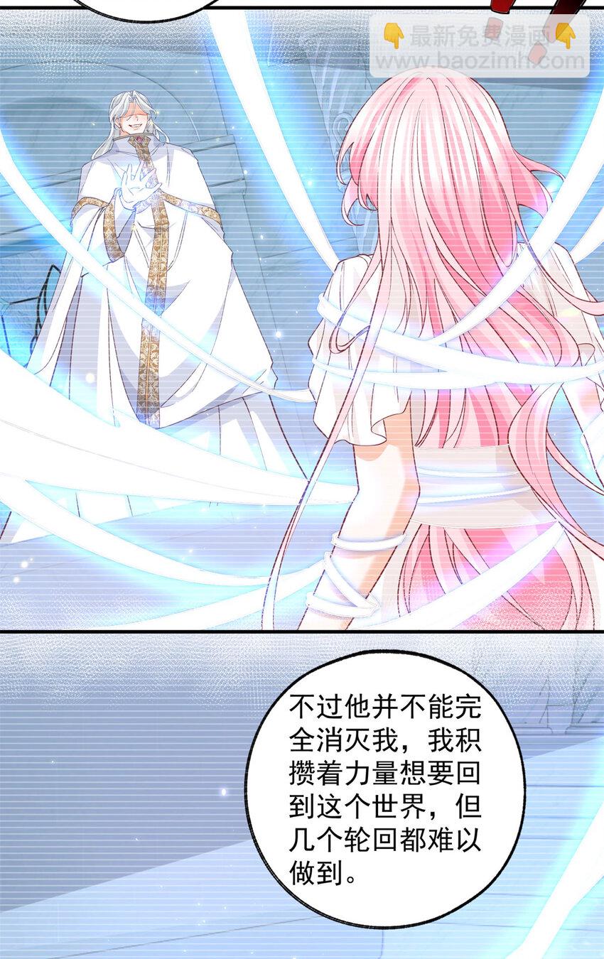 某天成爲祭品公主 - 第207話 從貓到書到玩偶 - 2