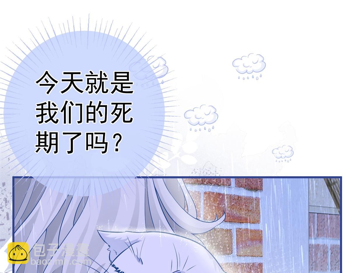 某天成爲祭品公主 - 第6話 化貓爲書(1/2) - 8