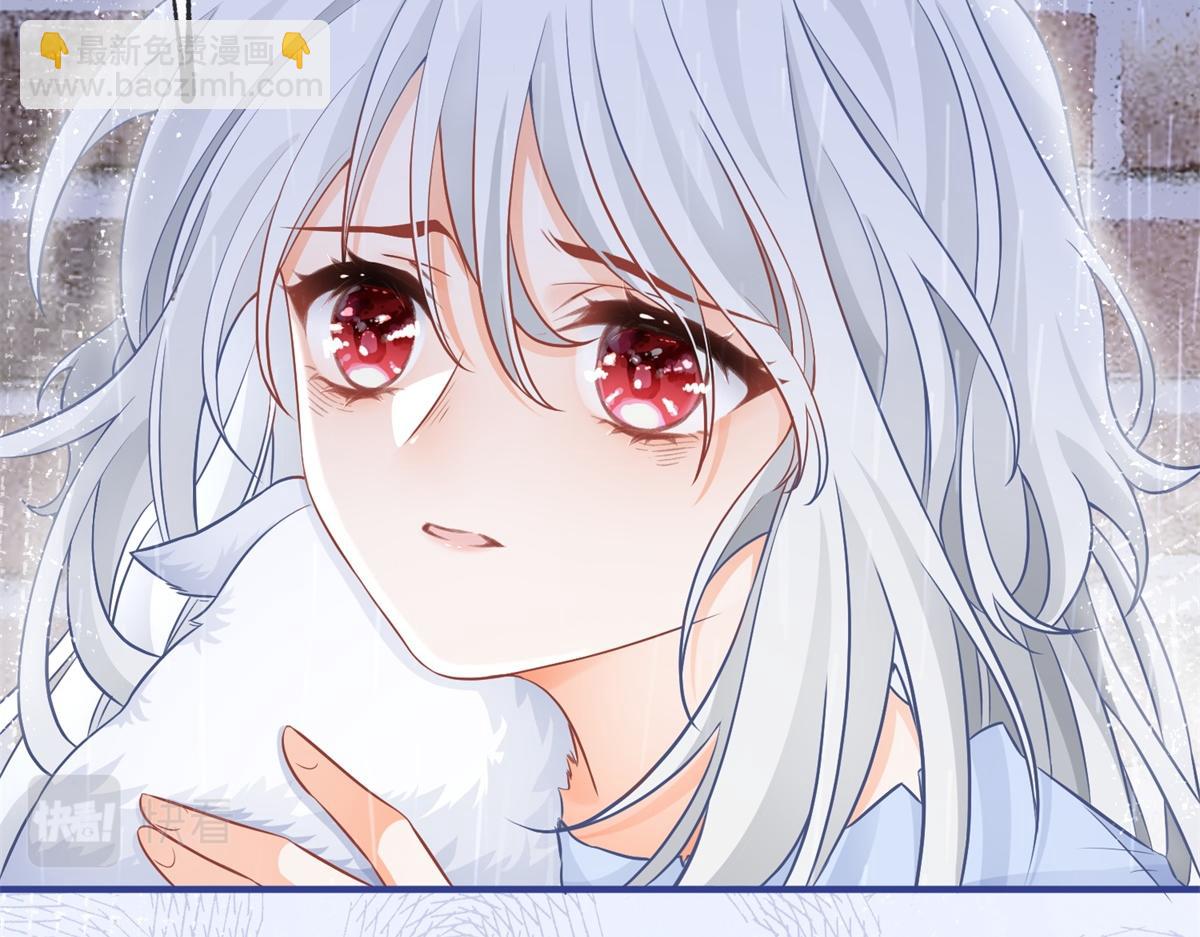 某天成爲祭品公主 - 第6話 化貓爲書(2/2) - 2