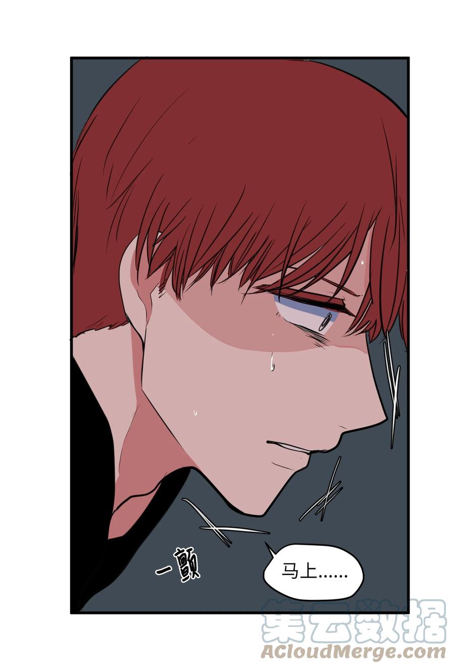 103 路奇菲的记忆(1/2)-第104话