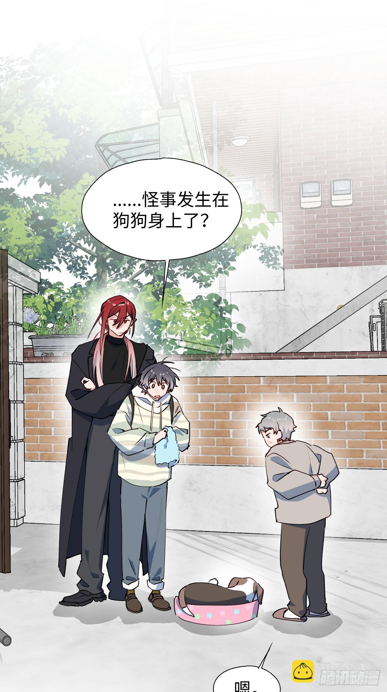 49这什么啊&hellip;&hellip;-第54话