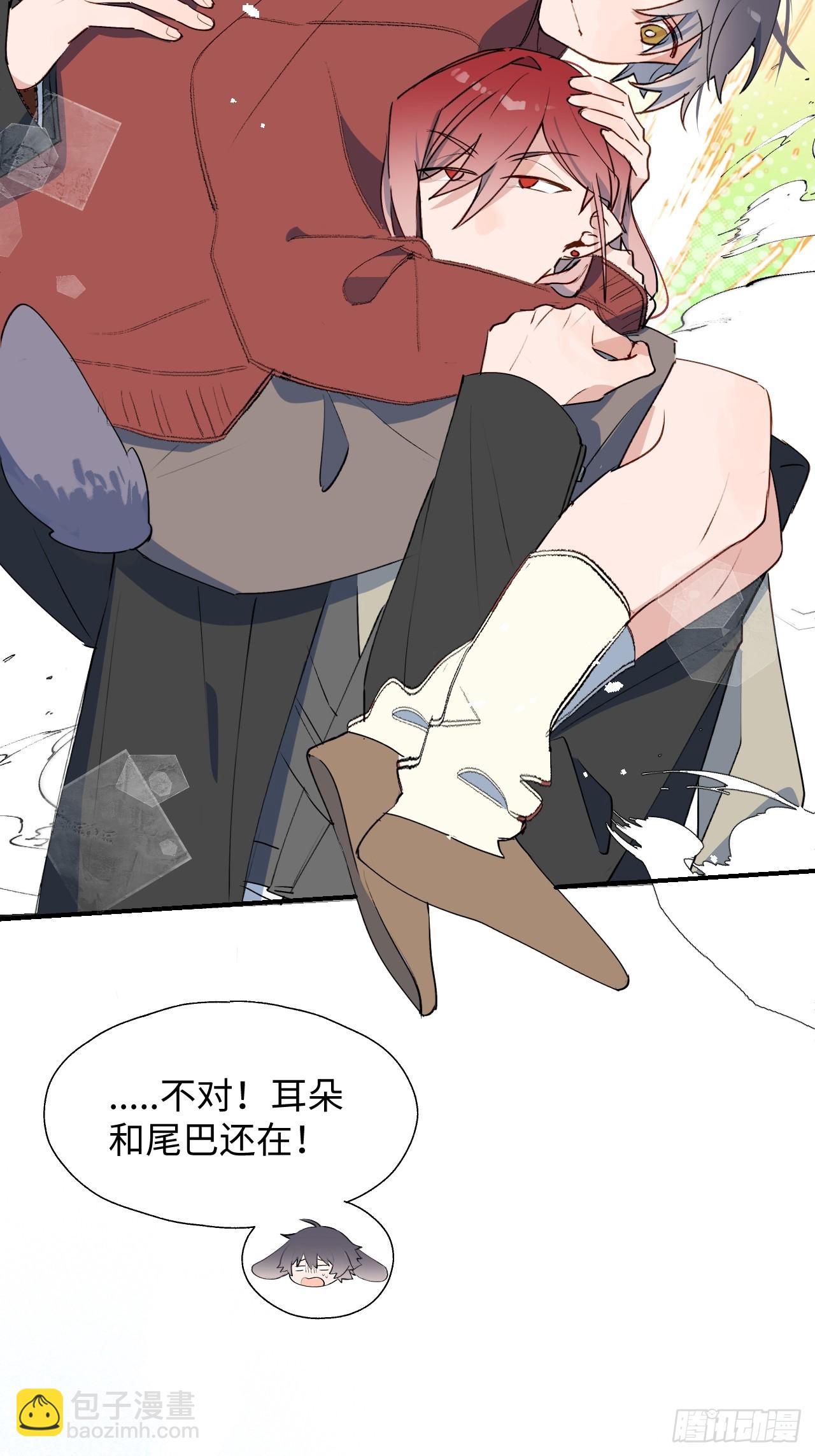 新春番外：本大人的专属宠物-第66话