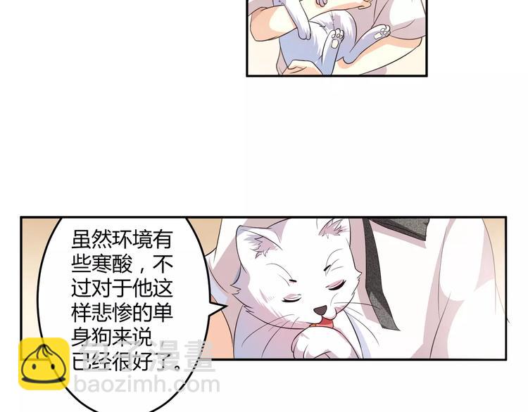 第5话 贤惠的单身狗(1/2)-第6话