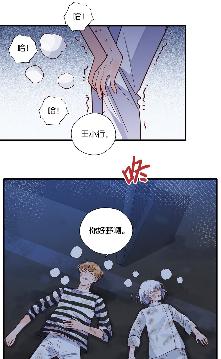 第15话 校草与野狗-第16话