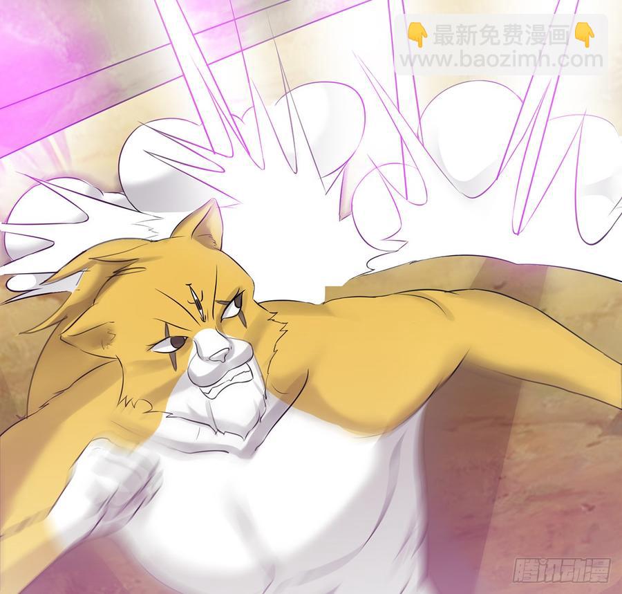 破阵！鬼瞳虎的覆劫眼(1/2)-第42话