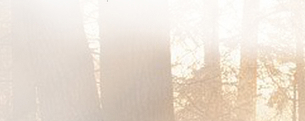 爷爷发威了(1/3)-第6话