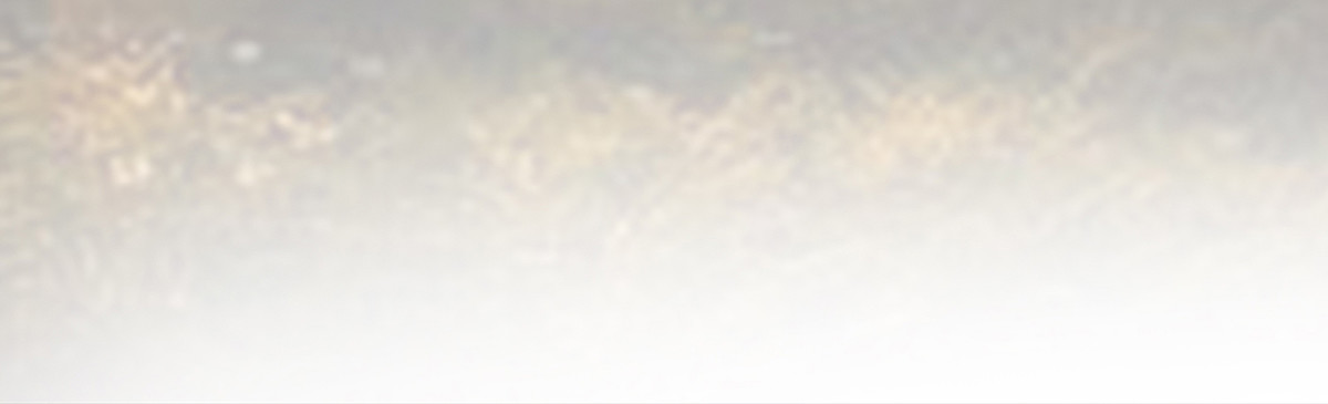 爷爷发威了(1/3)-第6话