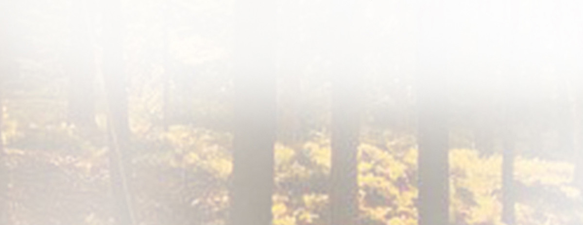 爷爷发威了(1/3)-第6话